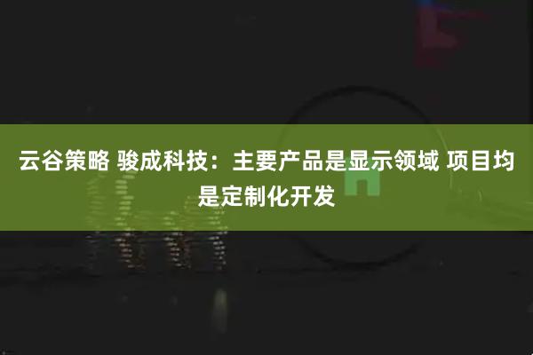 云谷策略 骏成科技：主要产品是显示领域 项目均是定制化开发